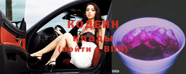 винт Пересвет