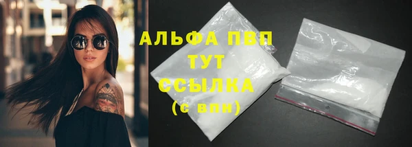 винт Пересвет