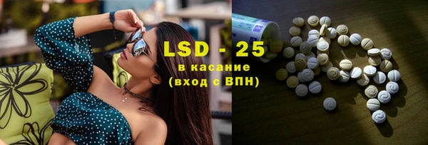 ГАЛЛЮЦИНОГЕННЫЕ ГРИБЫ Пестово
