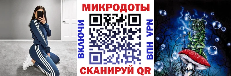 Псилоцибиновые грибы Cubensis  Купить где  Рассказово 