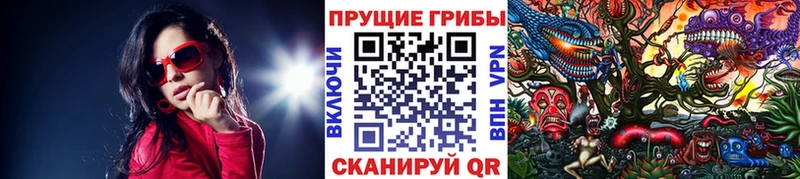 Псилоцибиновые грибы ЛСД Рассказово