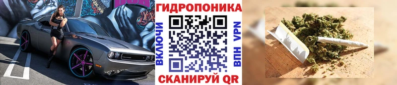 Конопля марихуана  Купить  Рассказово 